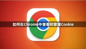google-26